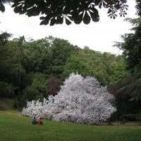 Buttes Chaumont oeuvre de Vincent Lamouroux sept 2012